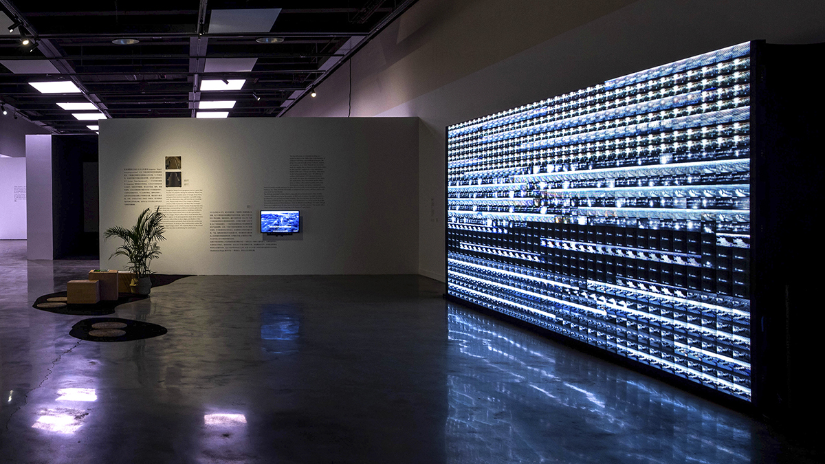 Kurt Caviezel Exhibition