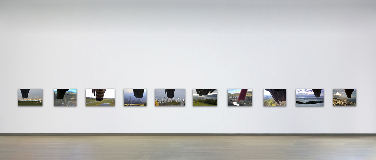 INSECT, exhibition outline
