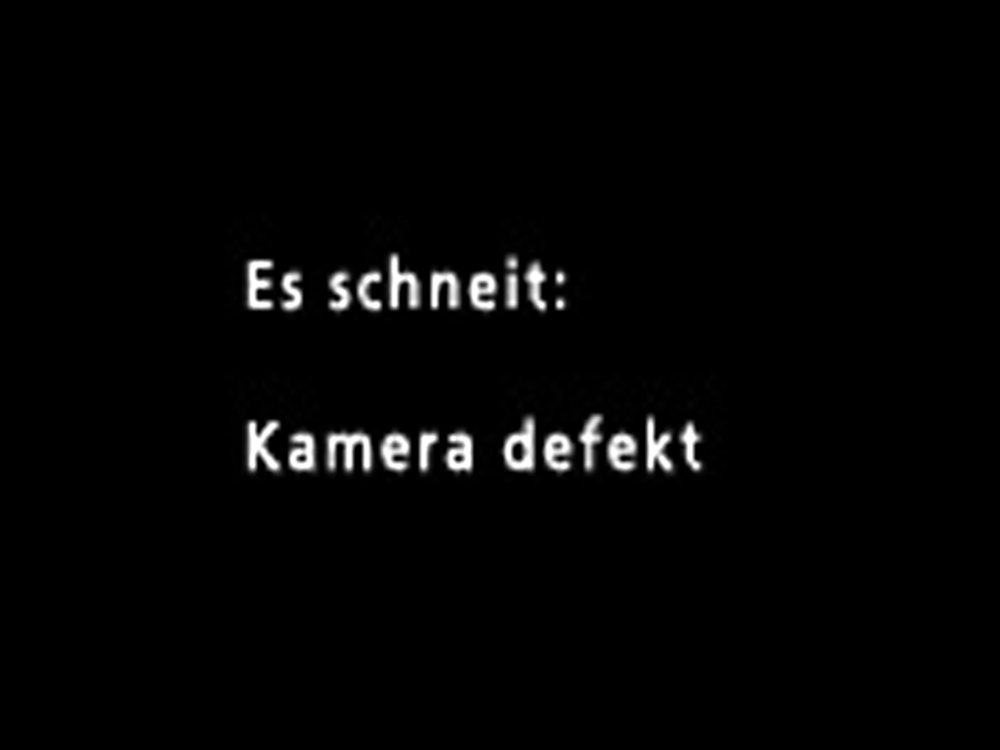 GIF 7