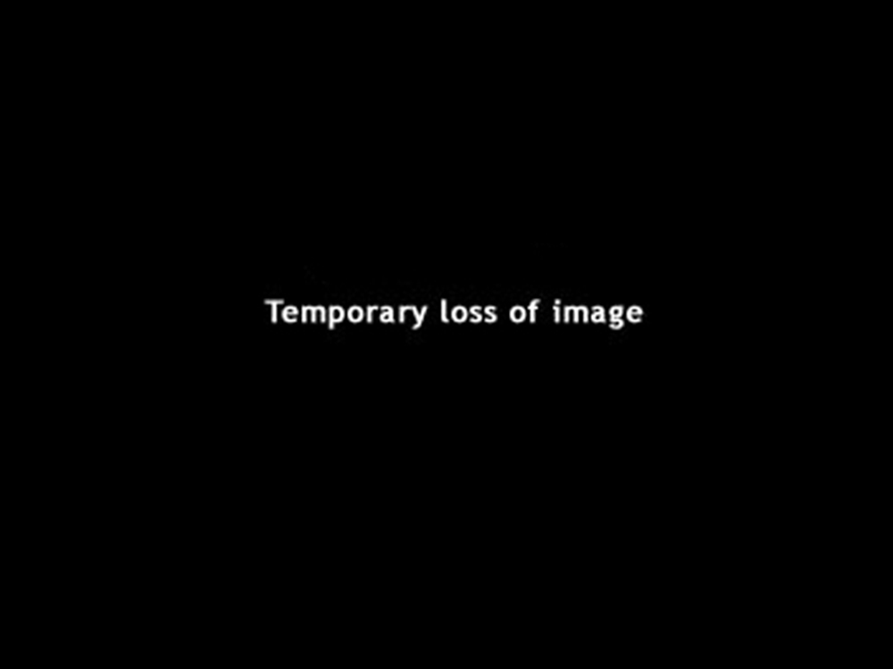 GIF 9